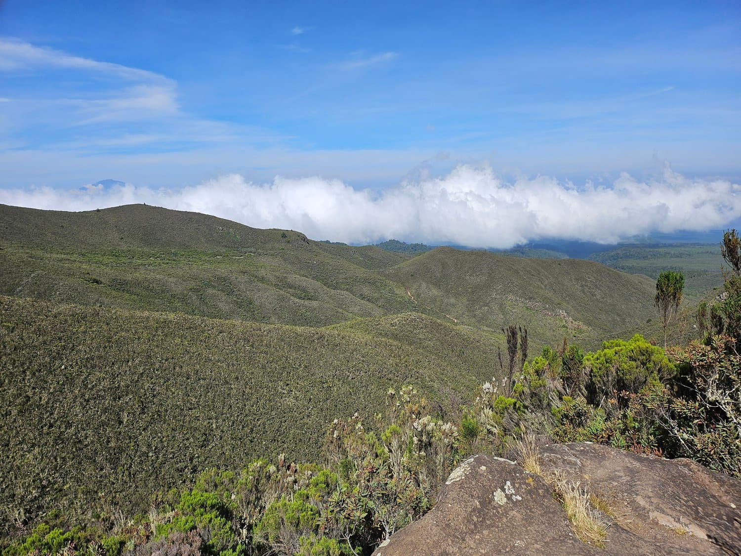 Kilimanjaro trek photo