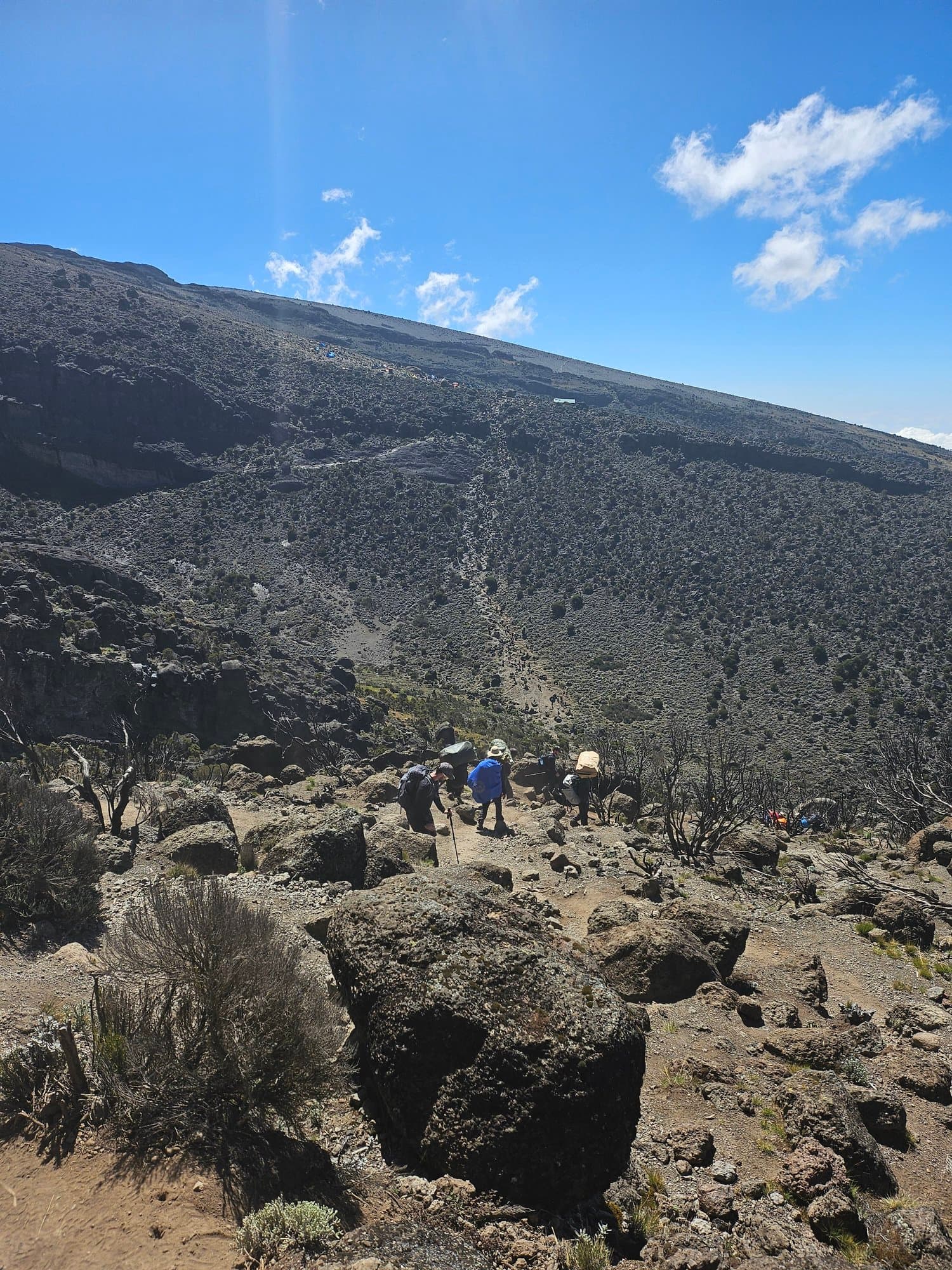 Kilimanjaro trek photo